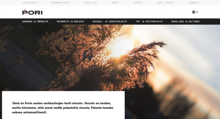beta.pori_.fi_screenshot23.11.2017.jpg