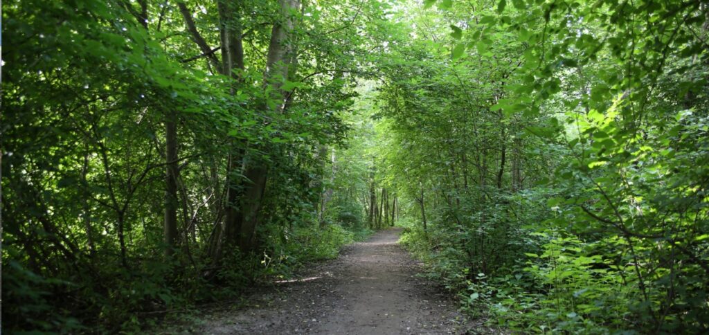 Asuminenjaymparisto_ymparisto1600x757.jpg