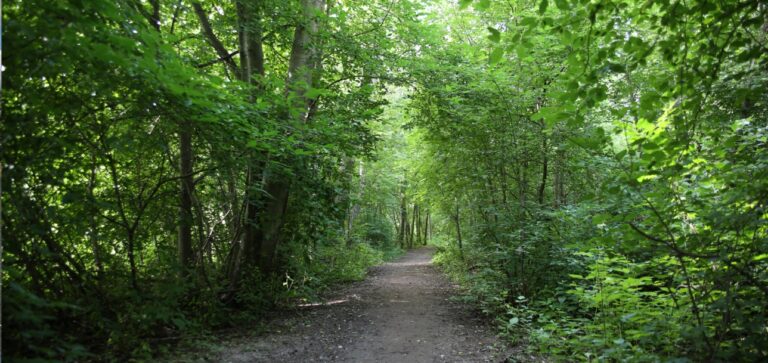 Asuminenjaymparisto_ymparisto1600x757.jpg