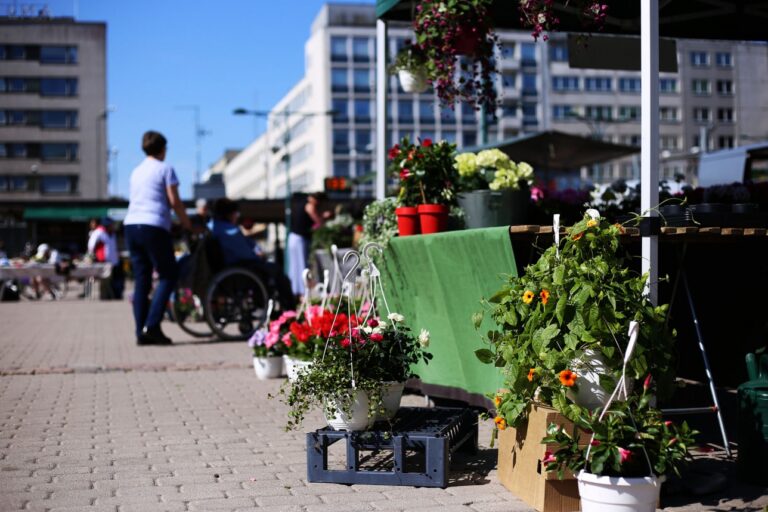 Myyntikoju Porin torilla