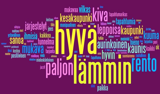 Kävijätutkimuksen tuntemukset Pori