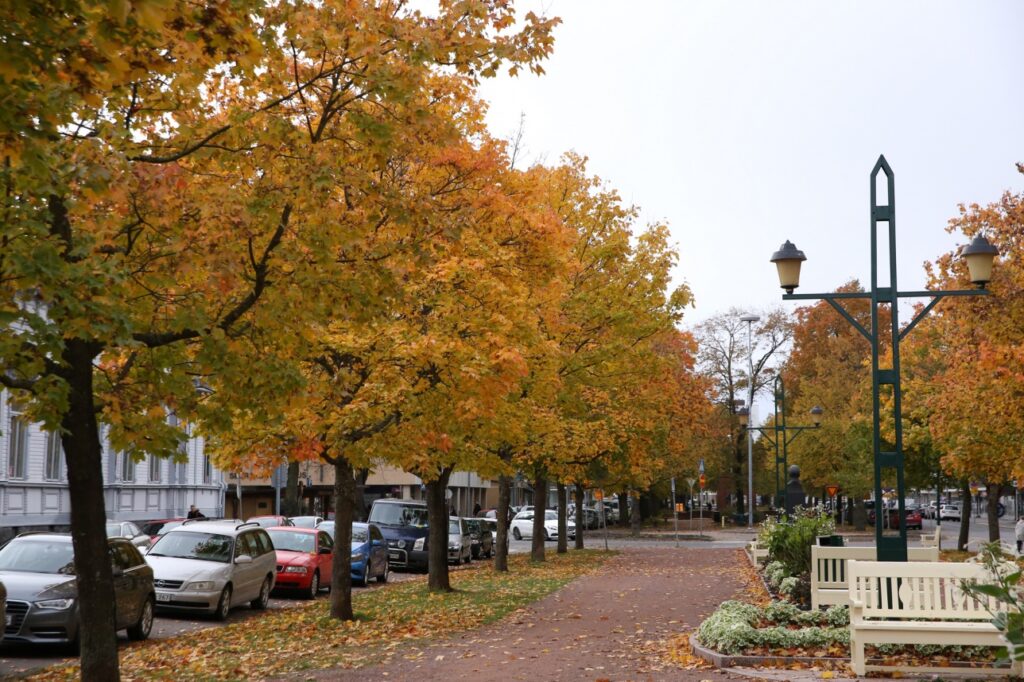 Pohjoispuisto
