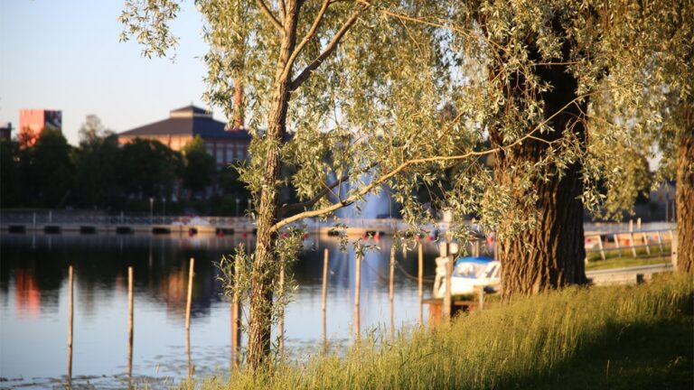 maisema Kokemäenjoelta