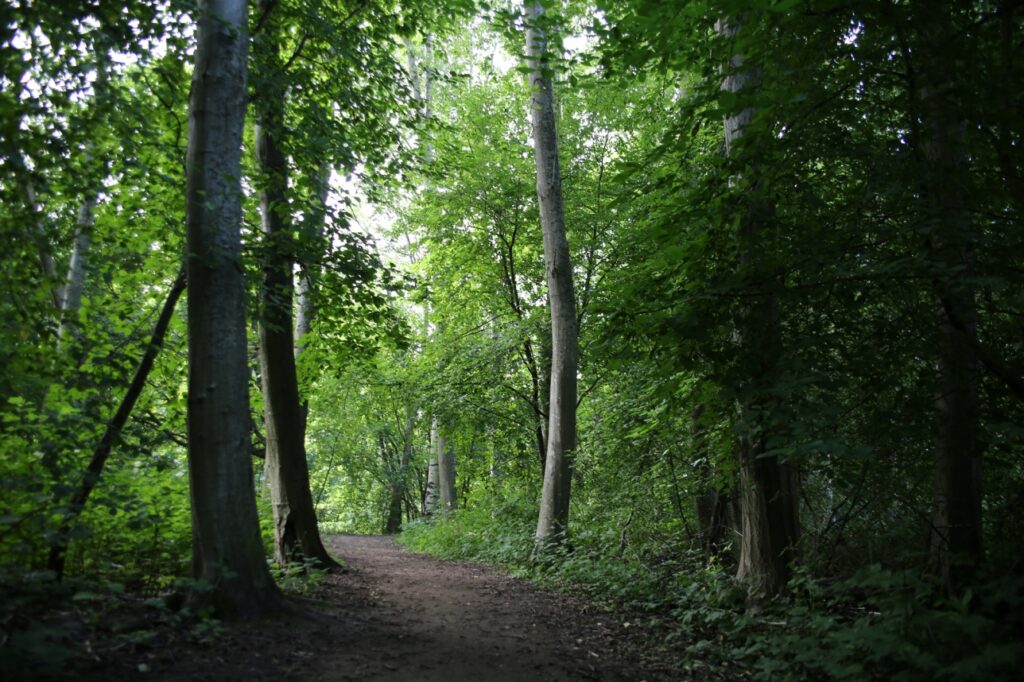 Ulkoilu