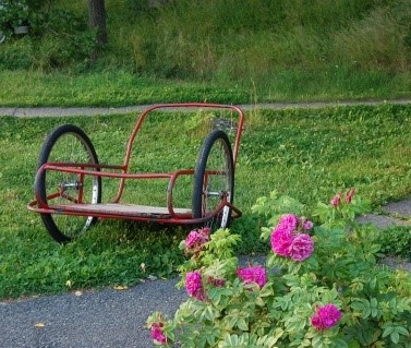 Kärry vihreällä nurmikolla