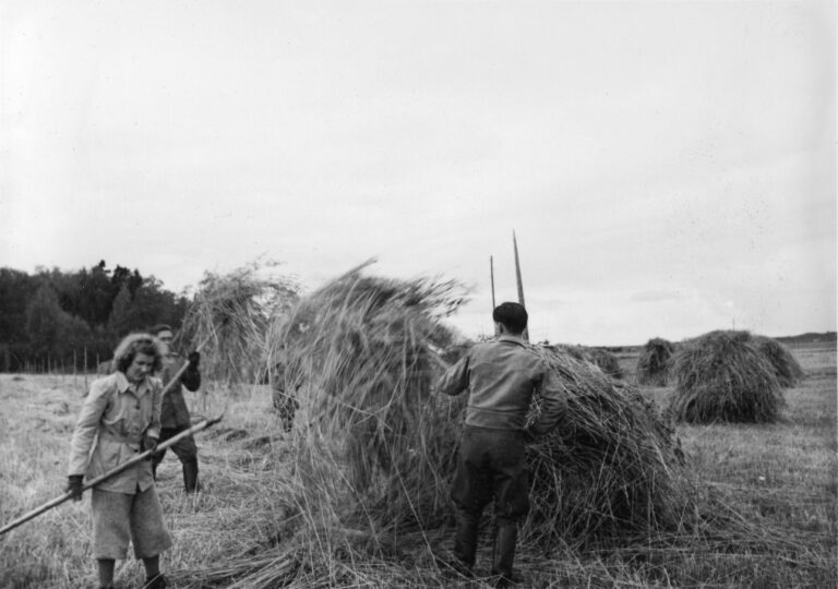 Talkoot Sunniemen kartanossa v. 1942 Satakunnan Museon kokoelmat