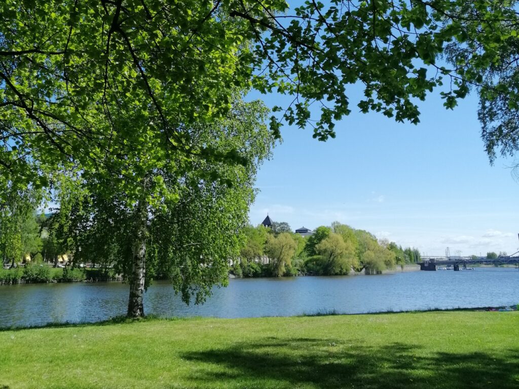 Kirjurin vehreyttä kesällä
