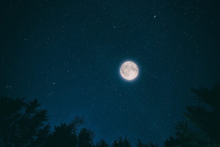 Pimeä metsä pixabay