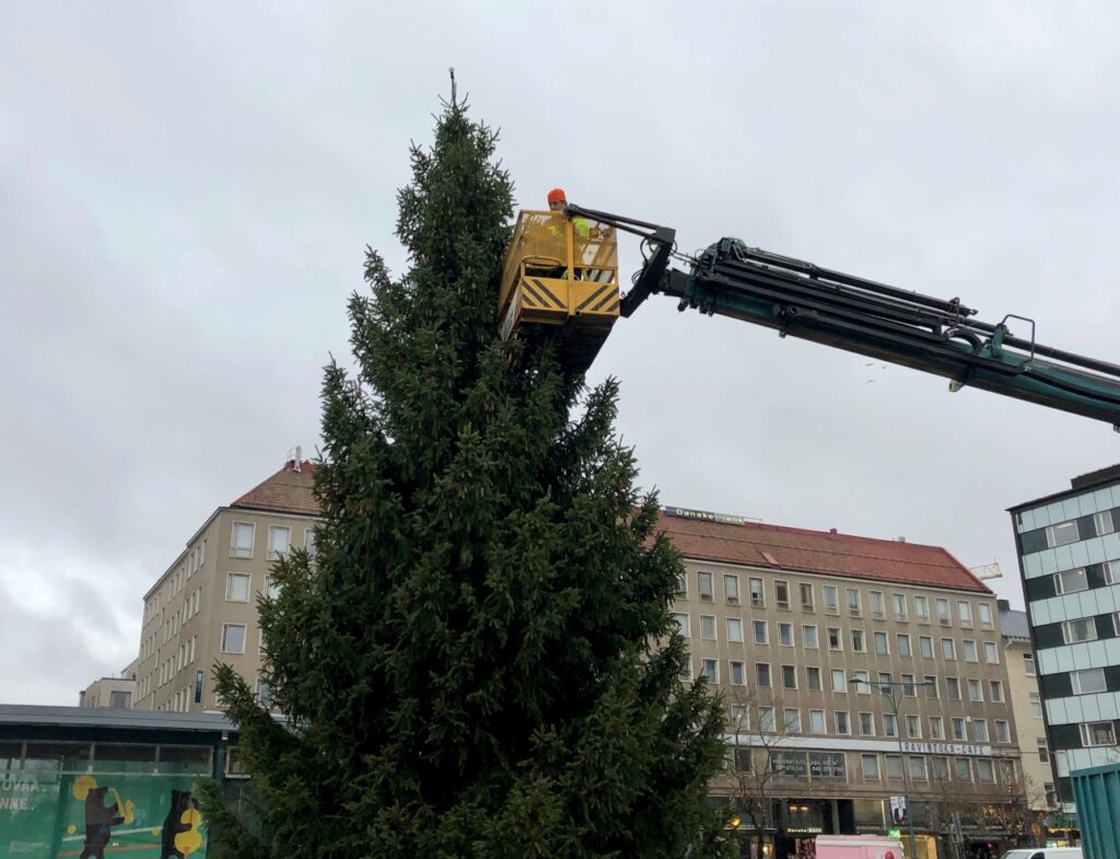 Kauppatorin joulukuusen valoja asennetaan nosturin avulla