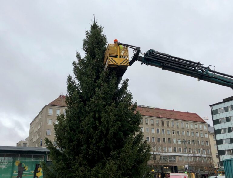 Kauppatorin joulukuusen valoja asennetaan nosturin avulla