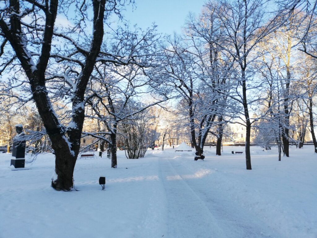 Talvinen Raatihuoneenpuisto