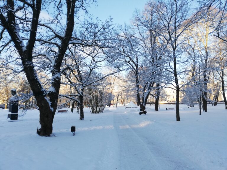 Talvinen Raatihuoneenpuisto