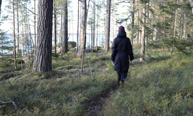Metsäpolku