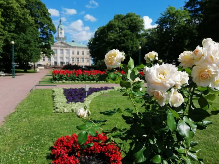 Raatihuoneenpuiston kukkaistutuksia