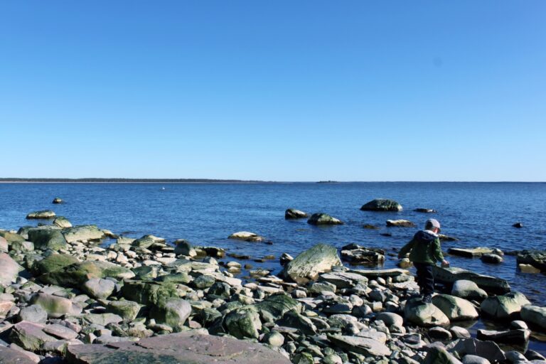 Herrainpäivien luontopolulla pääsee meren äärelle.