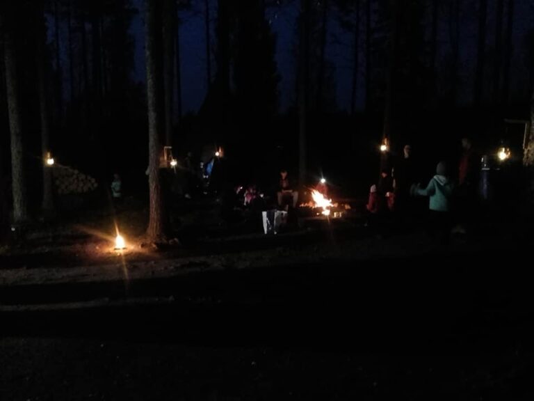 Pimeä metsä