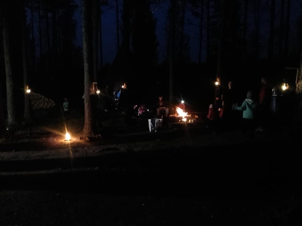 Pimeä metsä