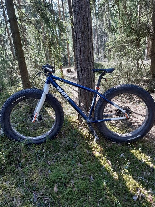 Fatbike metsässä