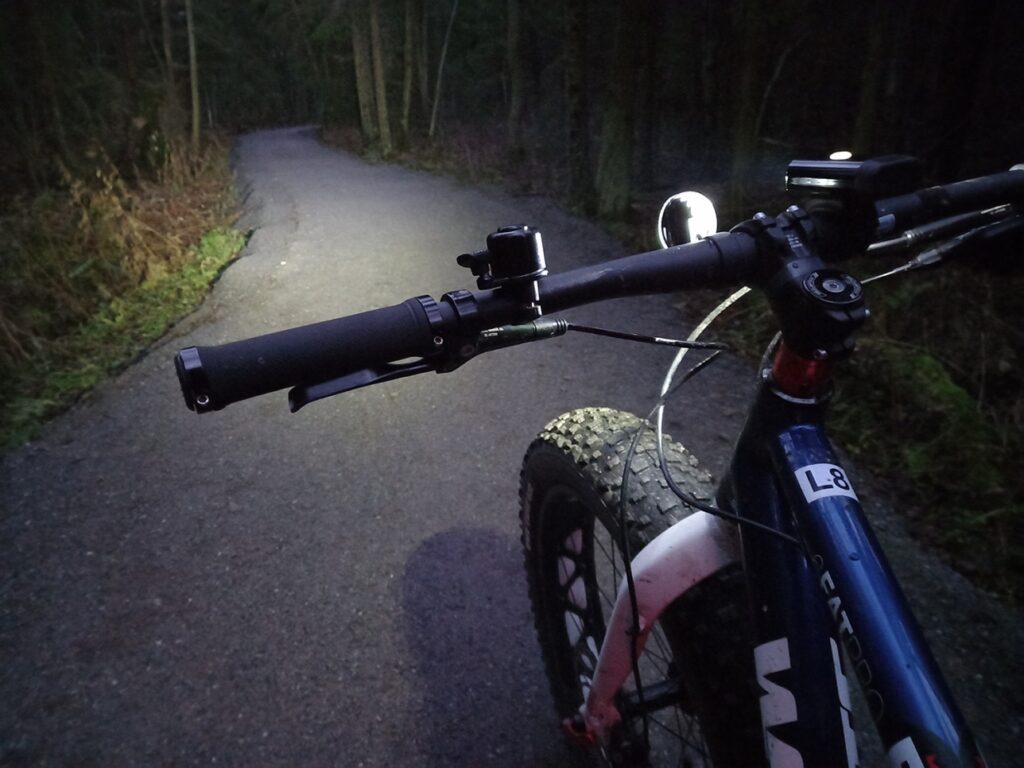 Fatbike metsässä