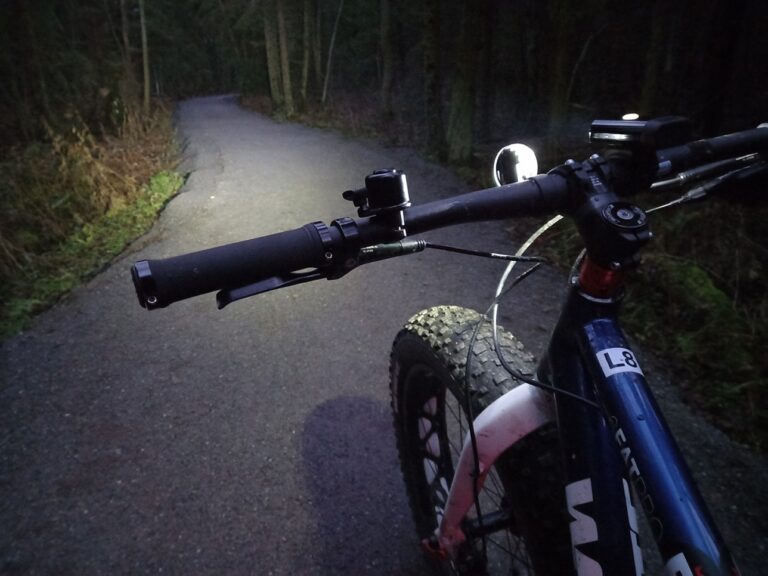 Fatbike metsässä