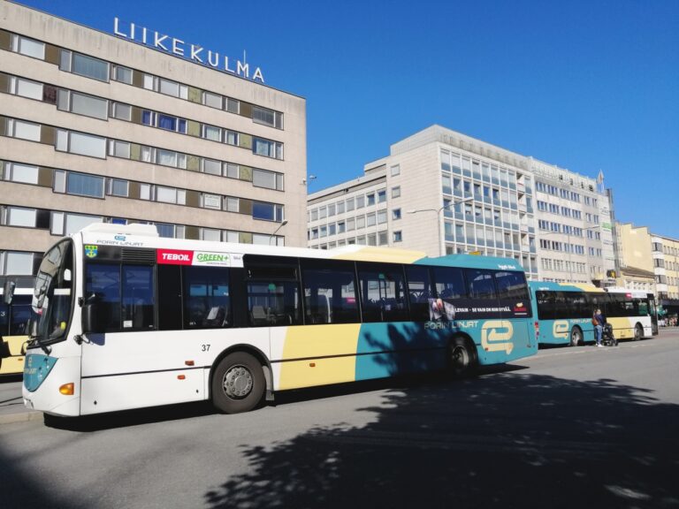 Busseja laiturilla kesällä