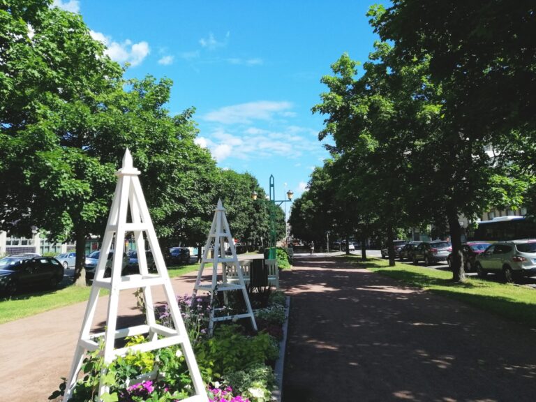 Keskustan puistojen kukkaistutuksia