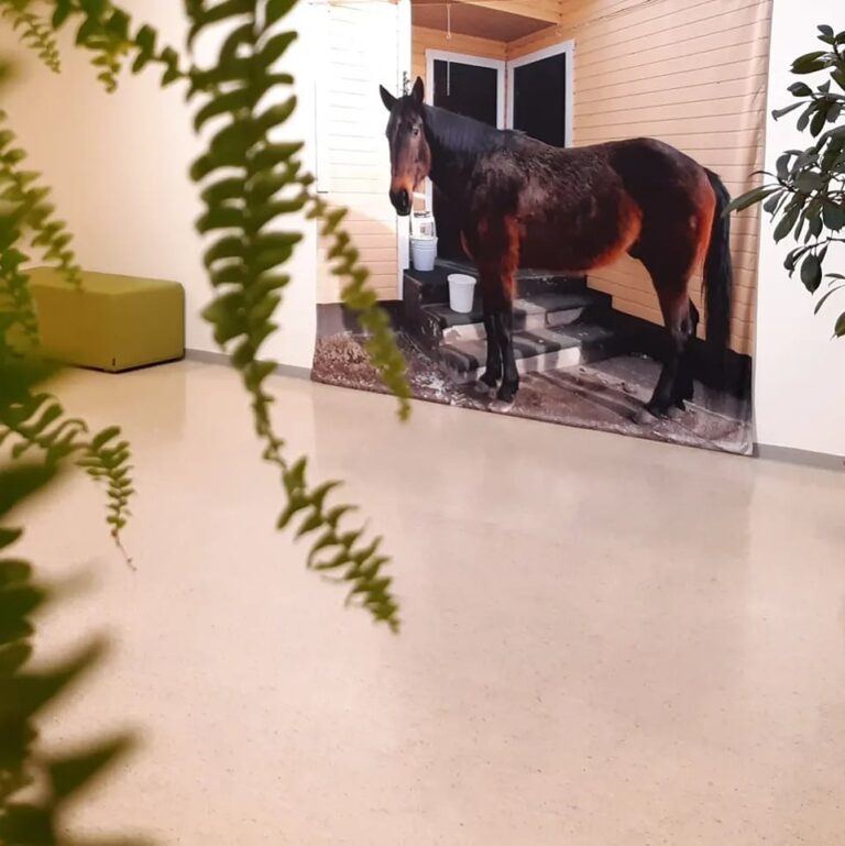 Sisätila, kuvassa suuri kuva hevosesta ja viherkasveja.