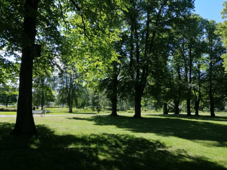 Kirjurinluodon vehreyttä