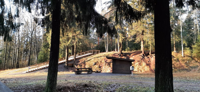 Metsämaisema jossa kuntoportaat