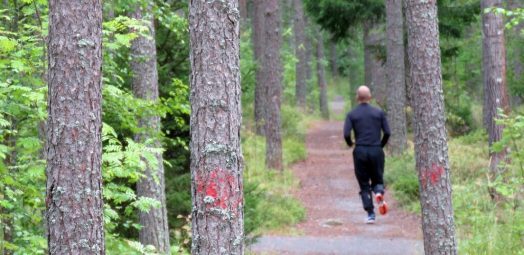 Lenkkeilija metsäpolulla