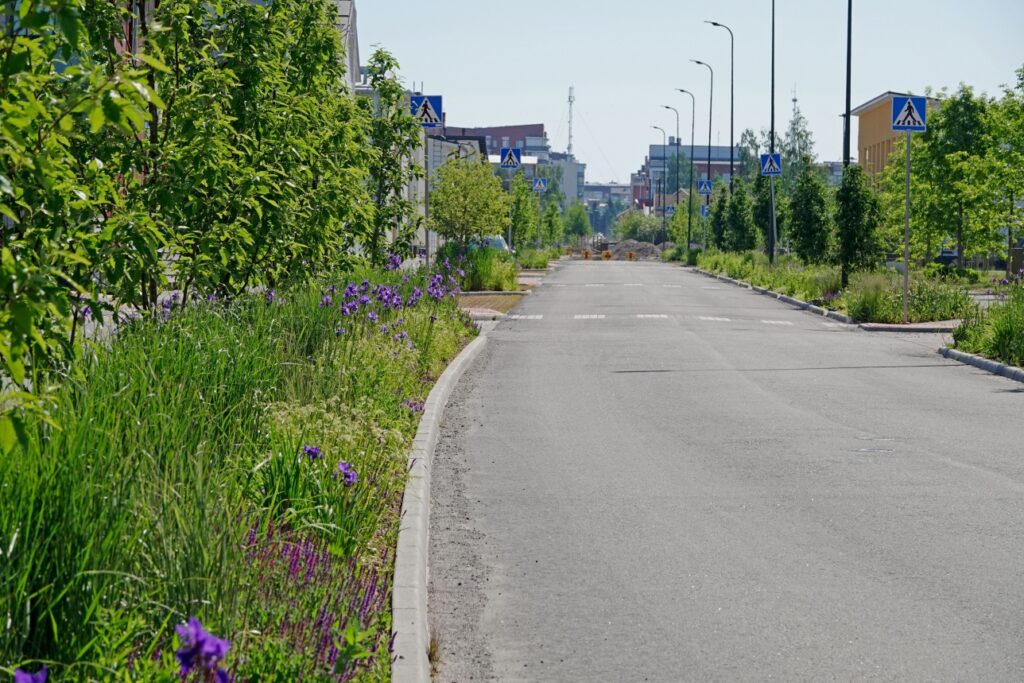 Asuntomessualueen kokoojakatu