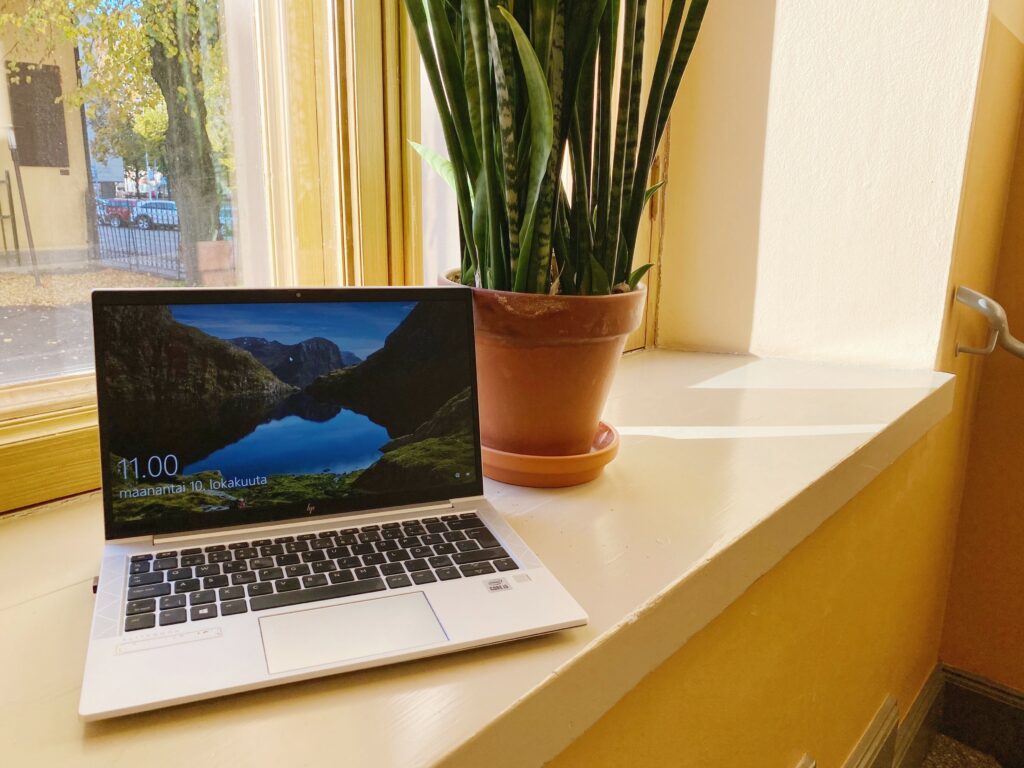 Läppäri ja kasvi leveällä ikkunalaudalla