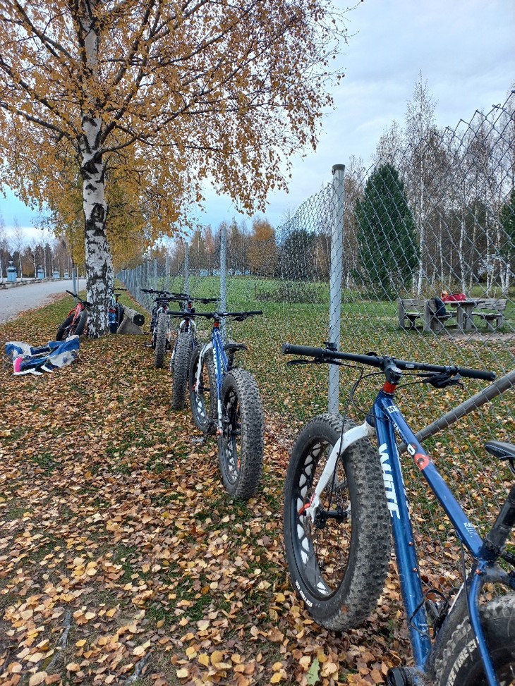 Pyöriä nojaamassa aitaan