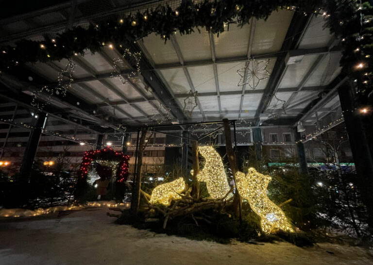 Valokuva kolmesta valokarhusta Satakielilavalla