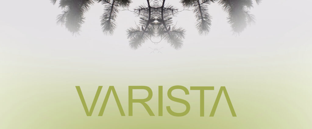 Vaaleanvihreällä pohjalla on häivytetty valokuva havupuun oksista ja lukee VARISTA.