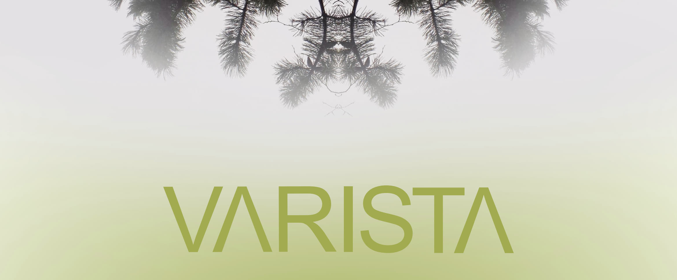 Varista - Porin kaupunki