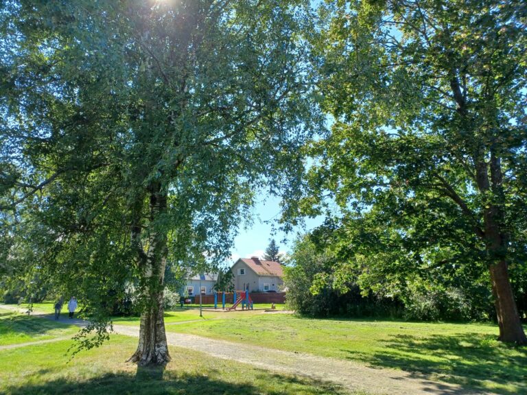 Puisto, jossa etualalla puita joiden lehtien välistä paistaa aurinko. Taustalla leikkipuiston värikäs kiipeilyteline