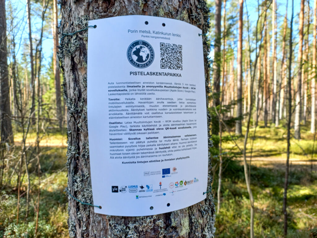 Muuttolintujen kevät -sovelluksen äänityspiste metsässä