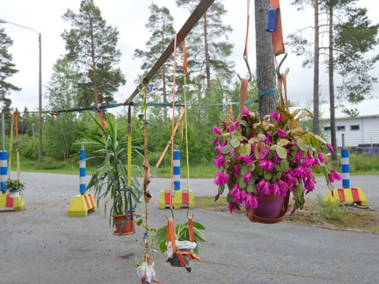 Ulkokuvassa värikkäistä nauhoista roikkuvia ruukkukasveja