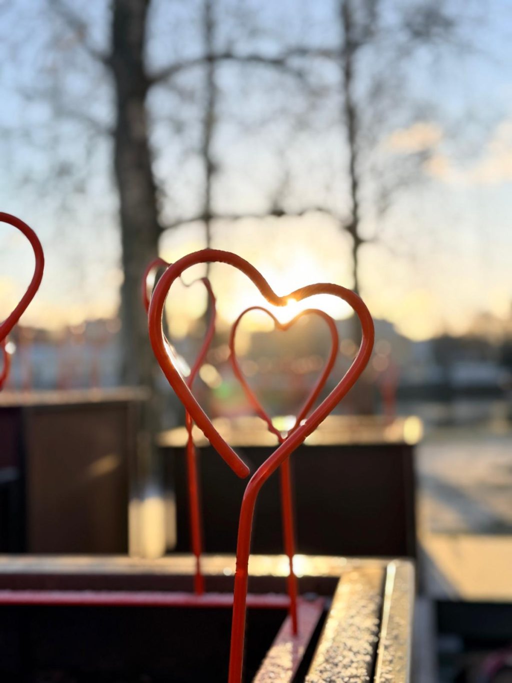 metallisia punaisia sydämiä talviauringon edessä