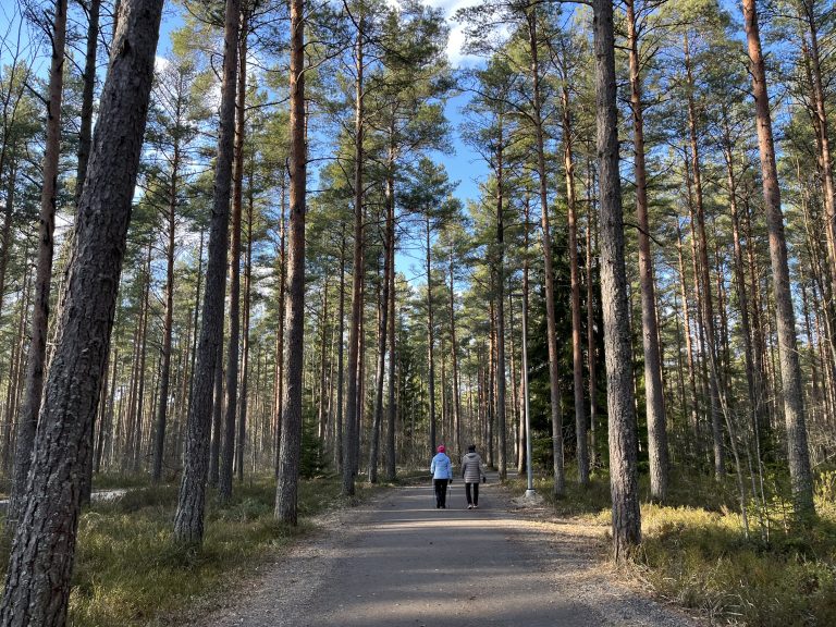 Kaksi henkilöä sauvakävelemässä maurinkoisessa metsässä