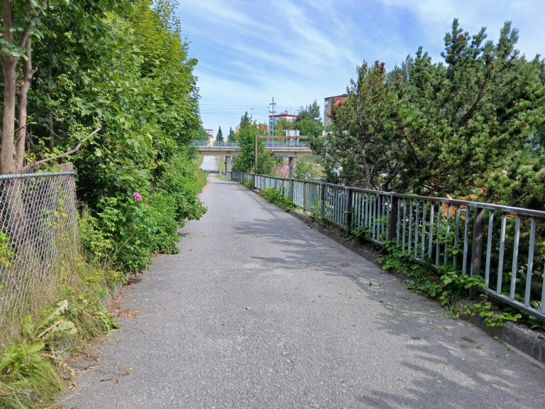 Kuva kevyeen liikenteen väylästä, jossa on viereisestä kiinteistöstä rehottavat kasvustot tien puolella.